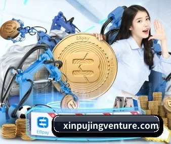 高清回放无广告